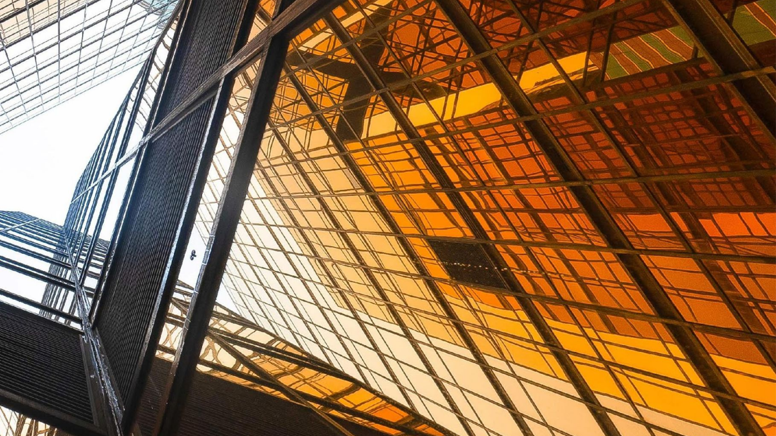 AI Tools - Due Diligence Guide